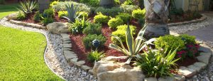 Wide angle rock, stone, mulch bed with Agaves and shrubs